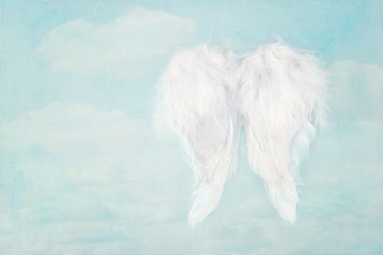 天使の白い羽根