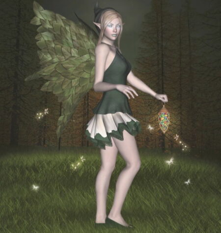 夜の森に妖精