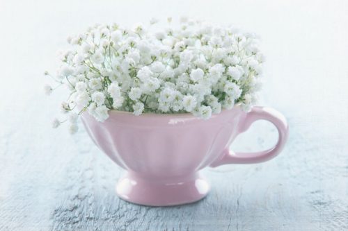 器に白い花