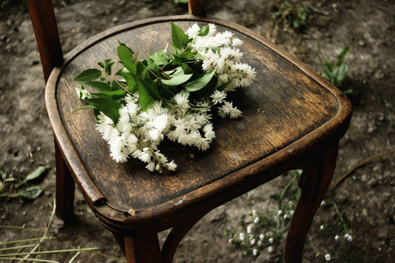 椅子の上に白い花