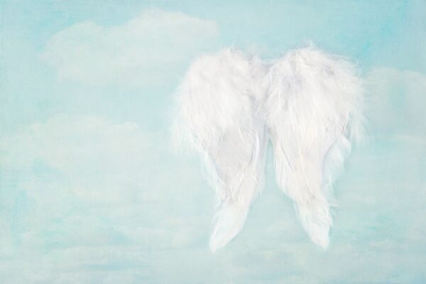 白い天使の翼