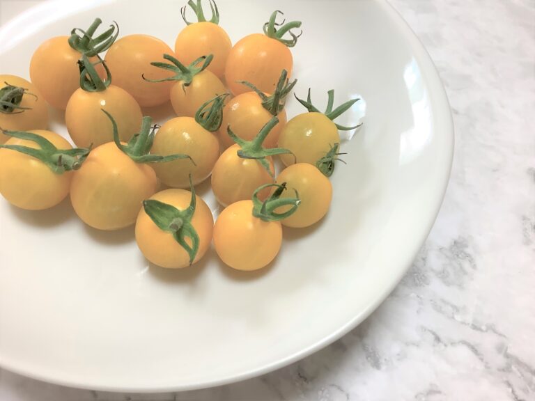 黄色のミニトマト