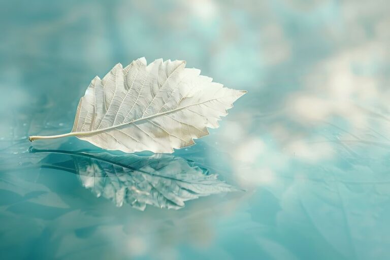 水にうかぶ白い葉っぱ