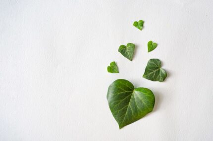 heartの形の葉っぱ