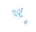 鳥