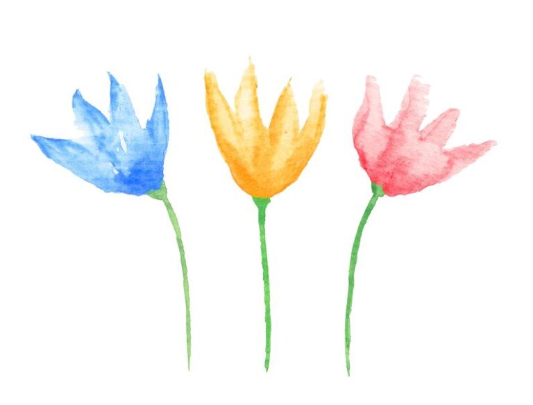 ３色の花